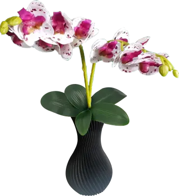 Arranjo de Orquídeas