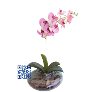 Arranjo de Orquídeas