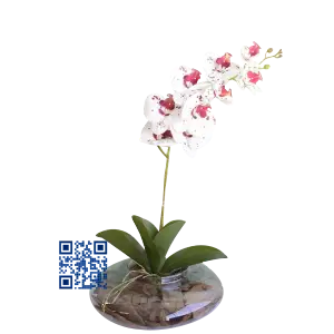 Arranjo de Orquídeas