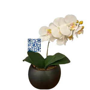 Arranjo de Orquídeas