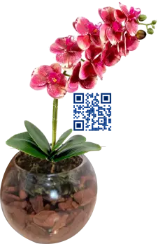 Arranjo de Orquídeas 