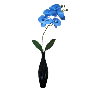 Arranjo de Orquídeas