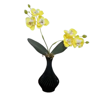 Arranjo de Orquídeas