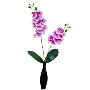 Arranjo de Orquídeas