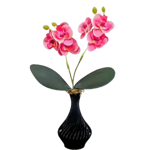 Arranjo de Orquídeas