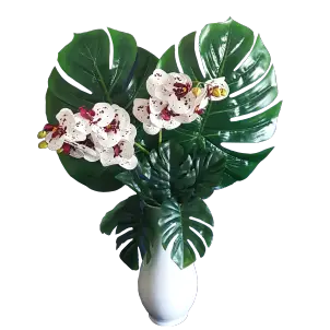 Arranjo de Orquídeas