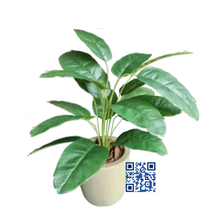 Árvore de orelha de Elefante