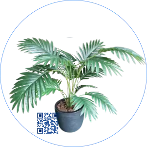 Arvore de Costela de Adão