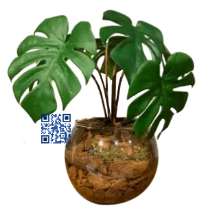 Arranjo de Folha de Costela de Adão